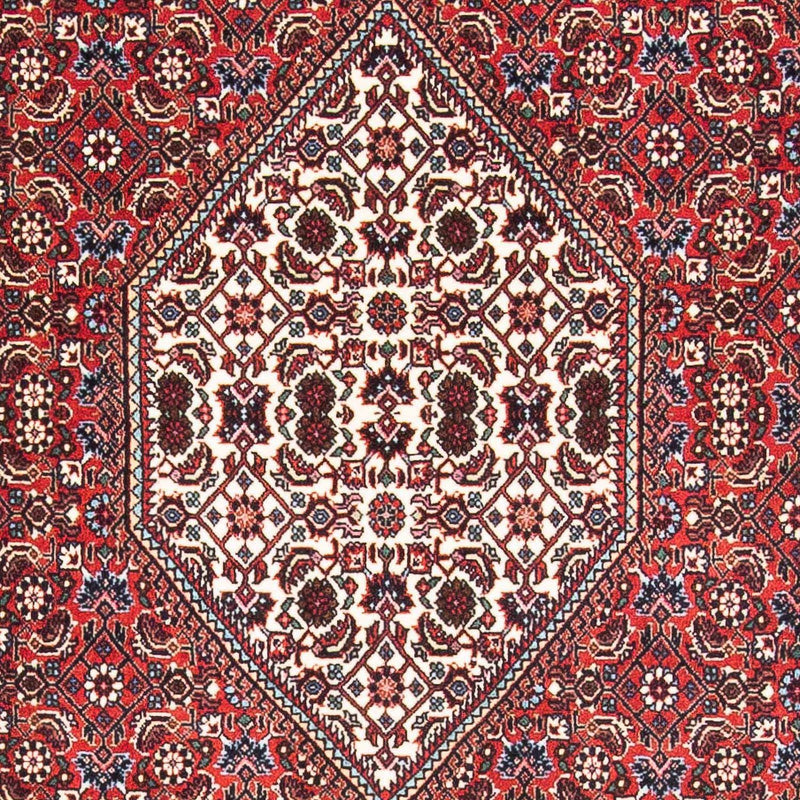 ビジャー 絨毯 176x109cm - ペルシャ絨毯