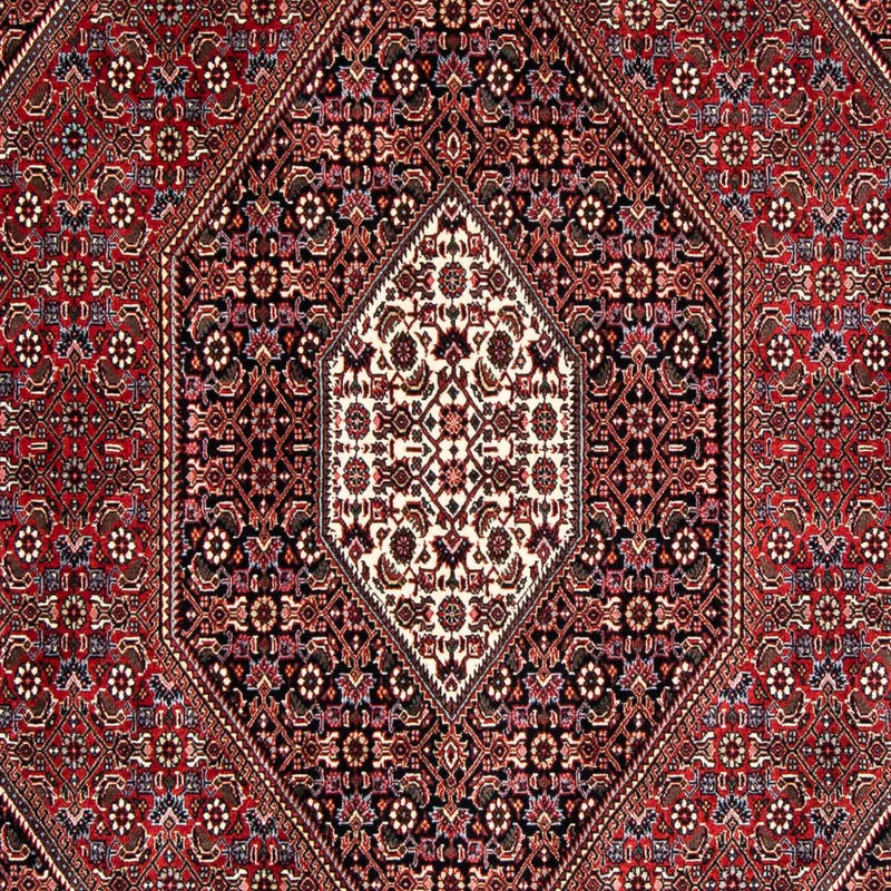 ビジャー 絨毯 246x167cm - ペルシャ絨毯