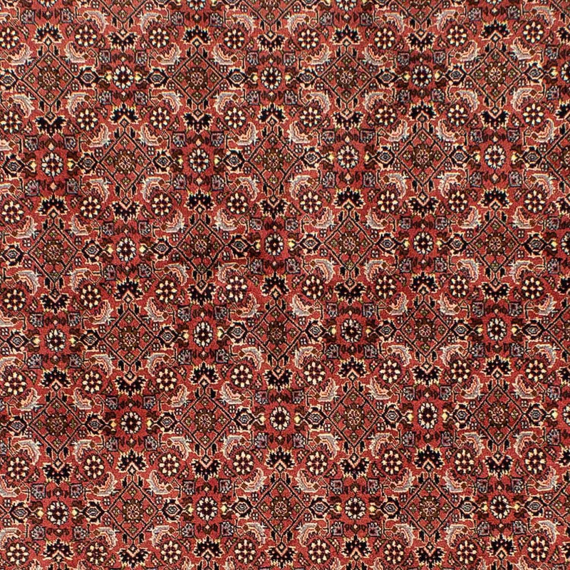 ビジャー 絨毯 244x172cm - ペルシャ絨毯