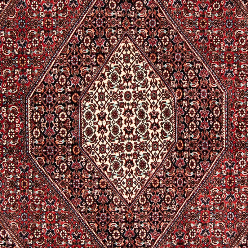 ビジャー 絨毯 252x172cm - ペルシャ絨毯