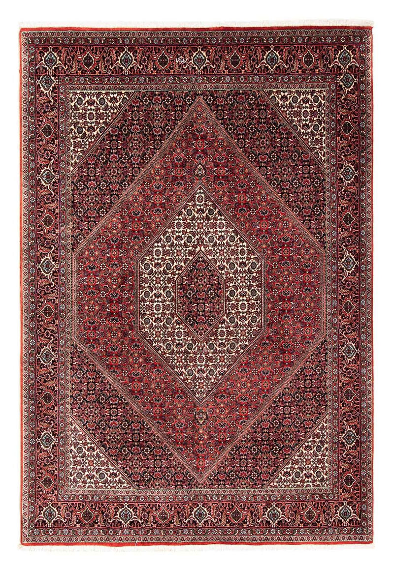 ビジャー 絨毯 245x167cm - ペルシャ絨毯