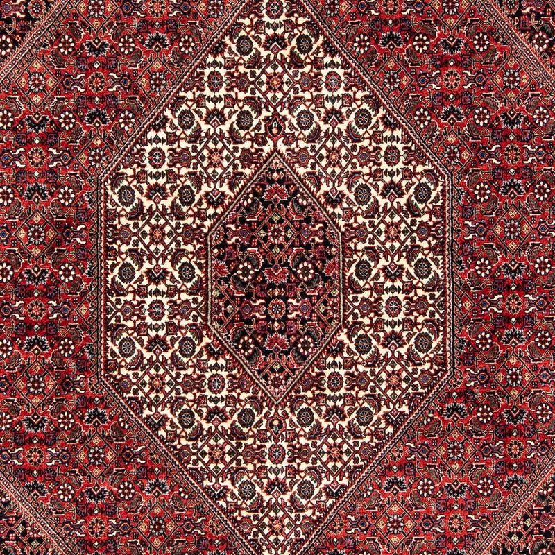 ビジャー 絨毯 245x167cm - ペルシャ絨毯
