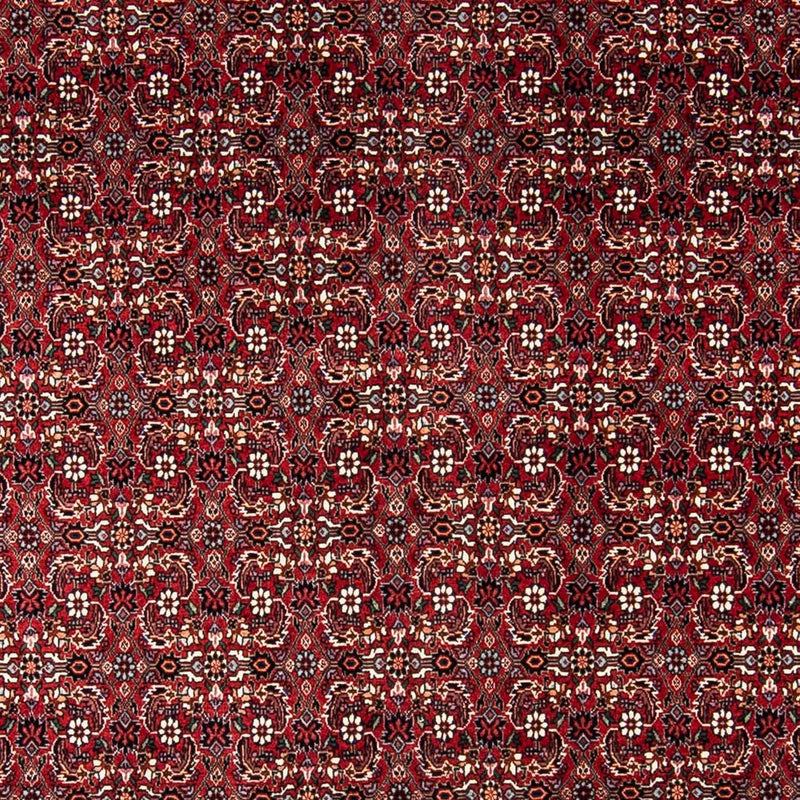 ビジャー 絨毯 240x168cm - ペルシャ絨毯