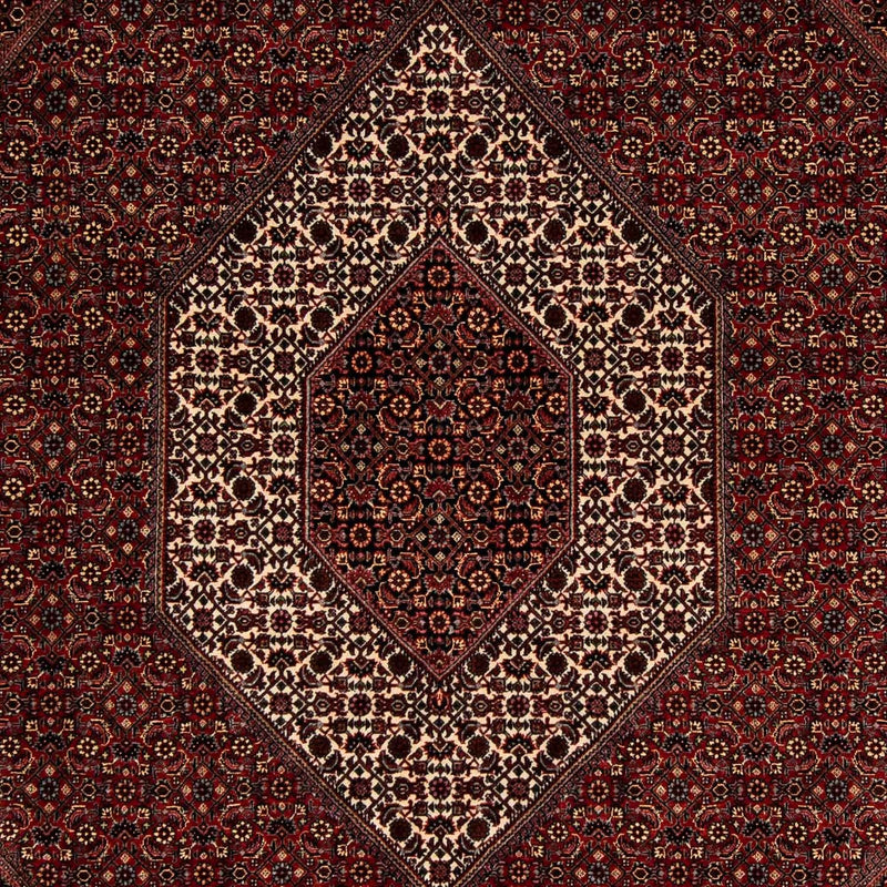 ビジャー 絨毯 252x208cm - ペルシャ絨毯