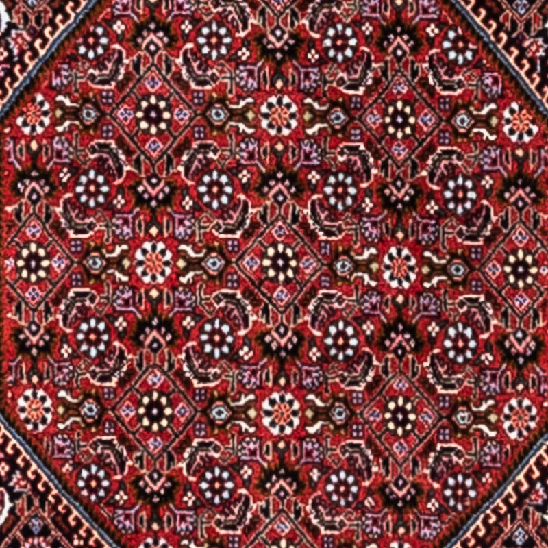 ビジャー - タカブ 絨毯 318x200cm - ペルシャ絨毯
