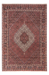 ビジャー - タカブ 絨毯 295x200cm - ペルシャ絨毯 – product image