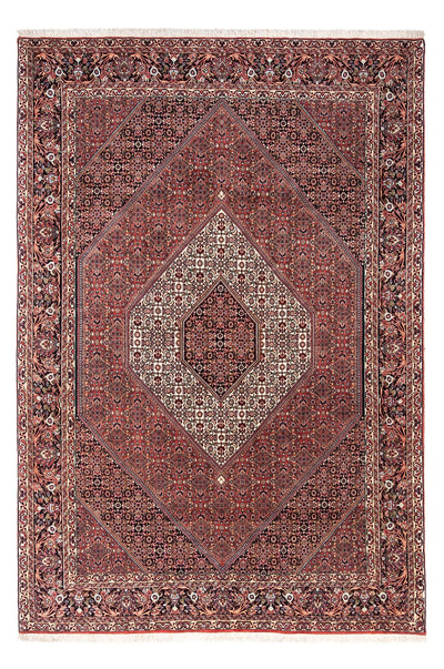 ビジャー - タカブ 絨毯 200x295cm - ペルシャ絨毯