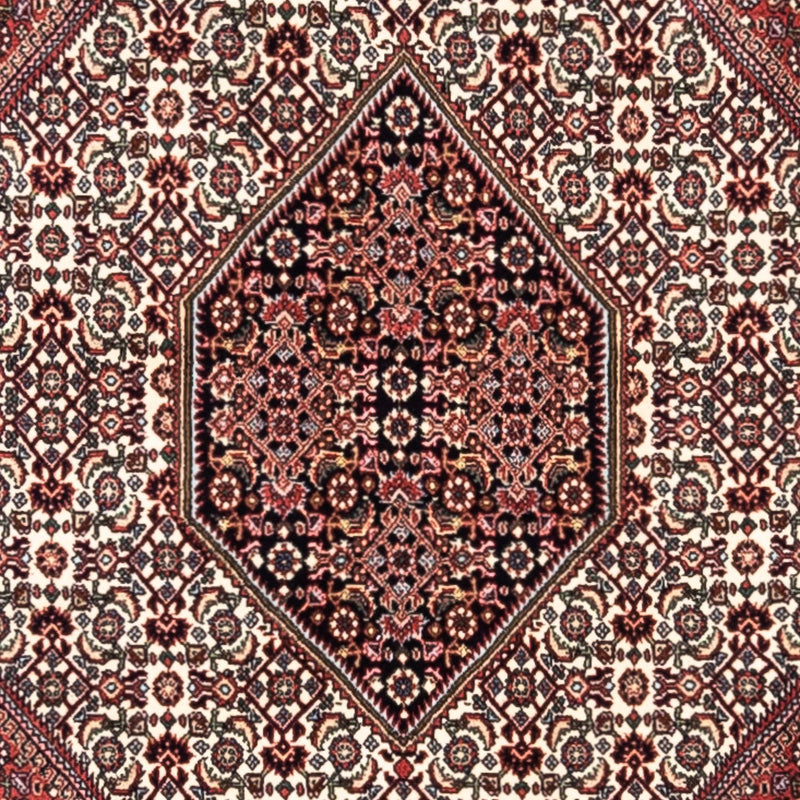 ビジャー - タカブ 絨毯 295x200cm - ペルシャ絨毯