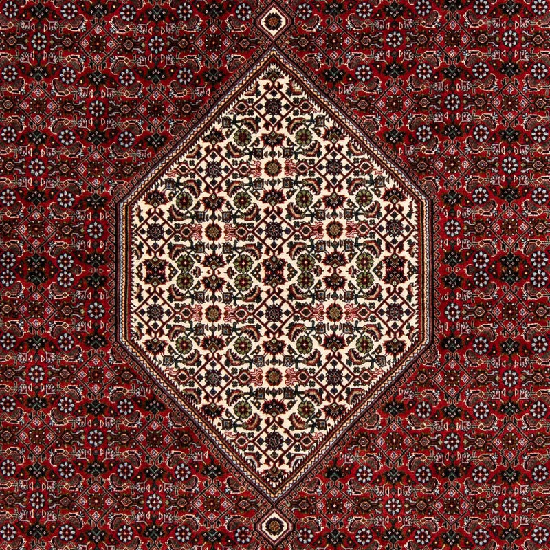 ビジャー 絨毯 203x196cm - ペルシャ絨毯