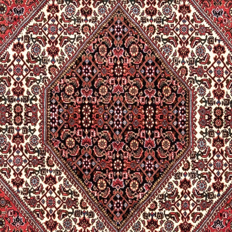 ビジャー - タカブ 絨毯 300x200cm - ペルシャ絨毯