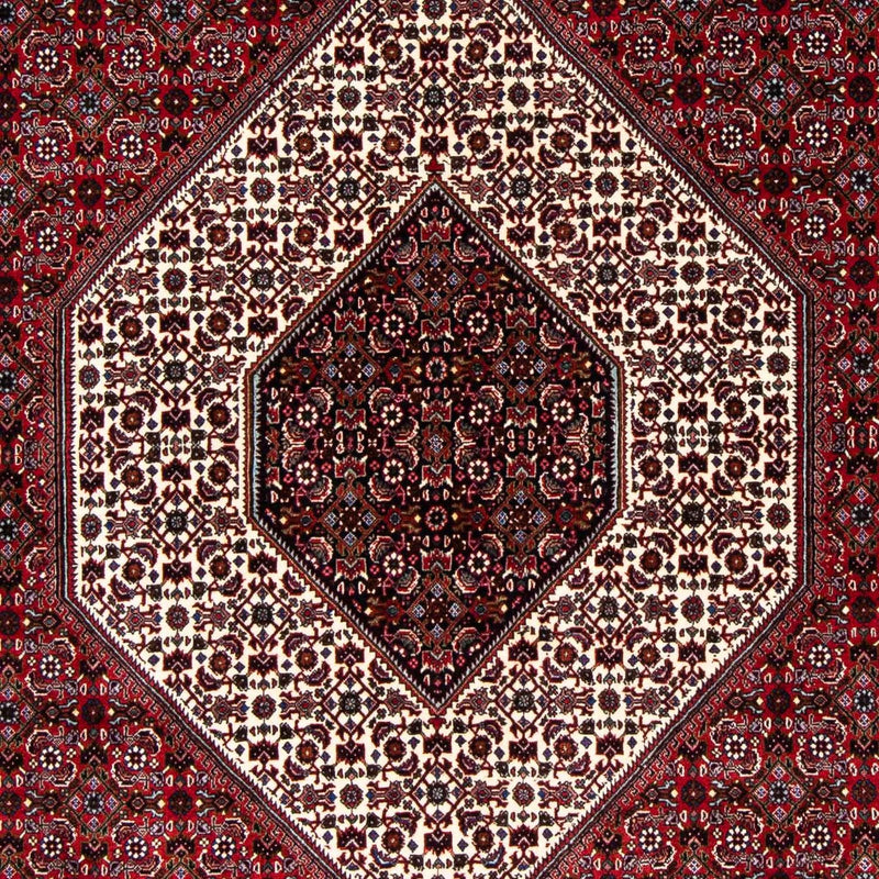 ビジャー 絨毯 257x173cm - ペルシャ絨毯
