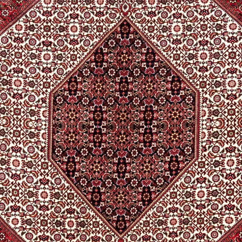 ビジャー - タカブ 絨毯 360x253cm - ペルシャ絨毯