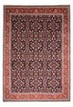 ビジャー 絨毯 350x243cm - ペルシャ絨毯