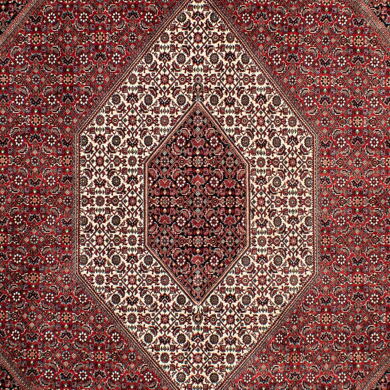 ビジャー 絨毯 298x200cm - ペルシャ絨毯