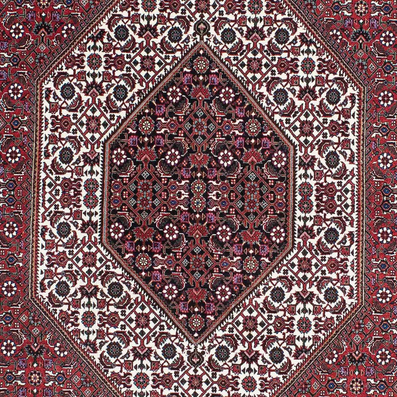 ビジャー 絨毯 210x131cm - ペルシャ絨毯