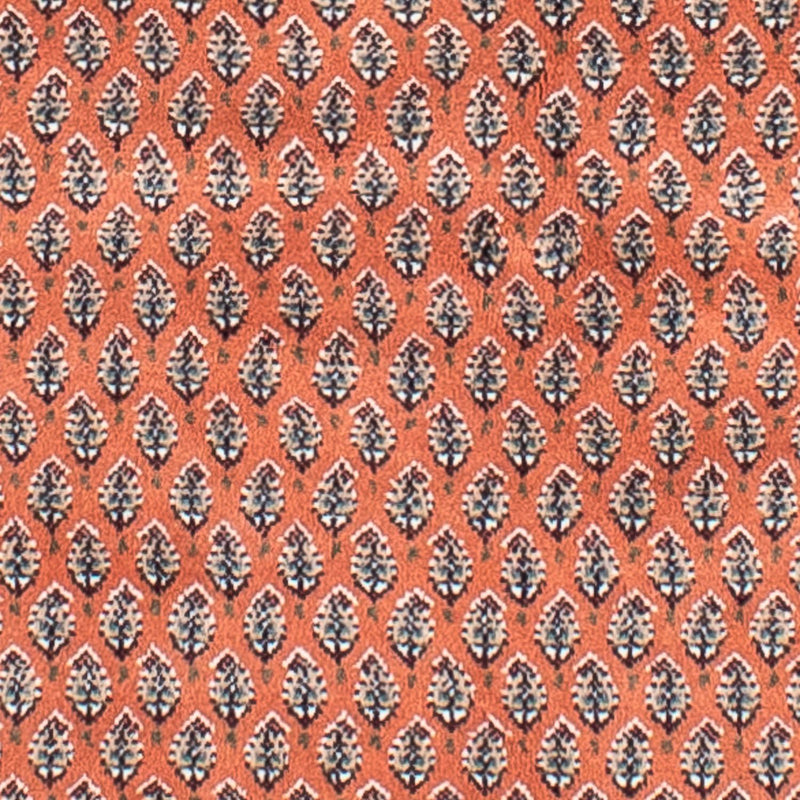 タブリーズ 絨毯 243x171cm - ペルシャ絨毯