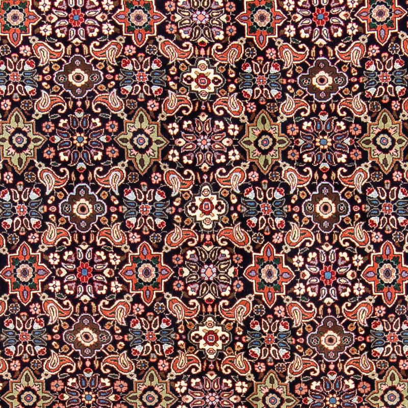 ビジャー 絨毯 245x165cm - ペルシャ絨毯