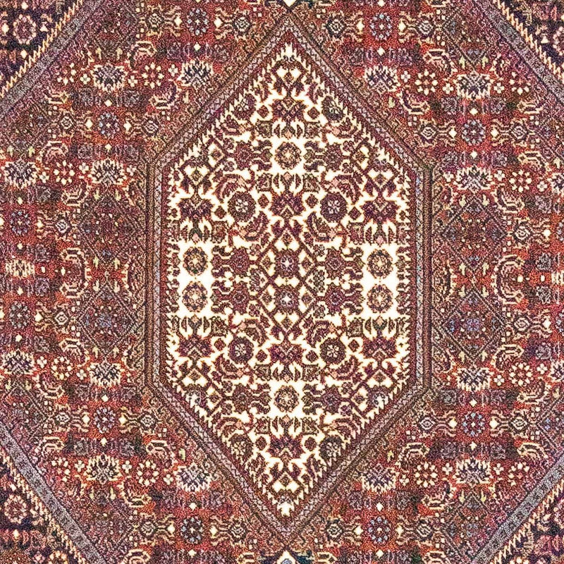 ビジャー 絨毯 170x107cm - ペルシャ絨毯