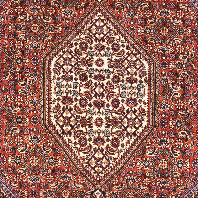 ビジャー 絨毯 152x105cm - ペルシャ絨毯
