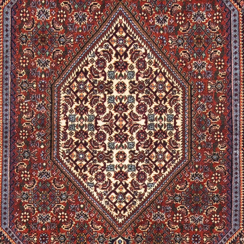 ビジャー 絨毯 153x105cm - ペルシャ絨毯