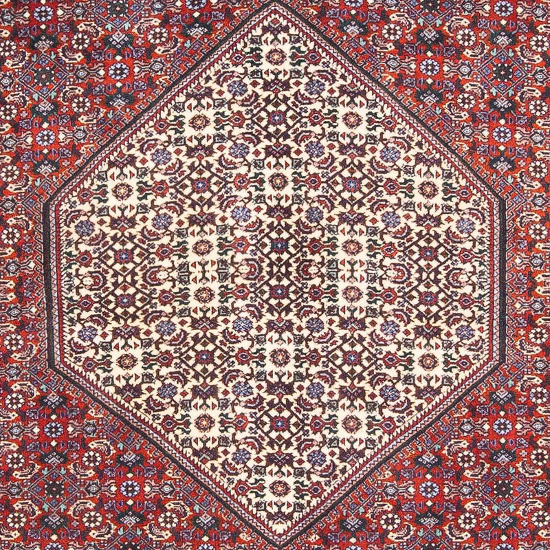 ビジャー 絨毯 170x110cm - ペルシャ絨毯