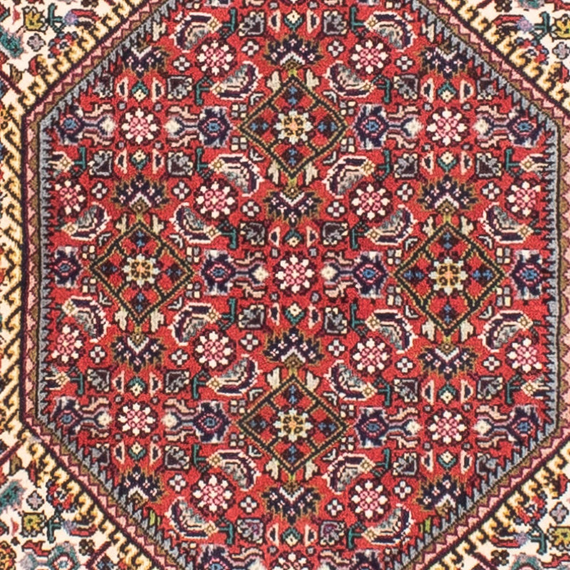 ビジャー 絨毯 170x110cm - ペルシャ絨毯