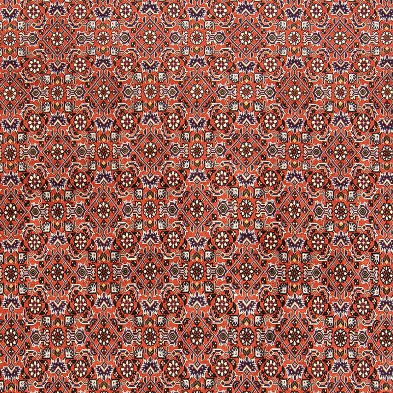 ビジャー 絨毯 230x168cm - ペルシャ絨毯