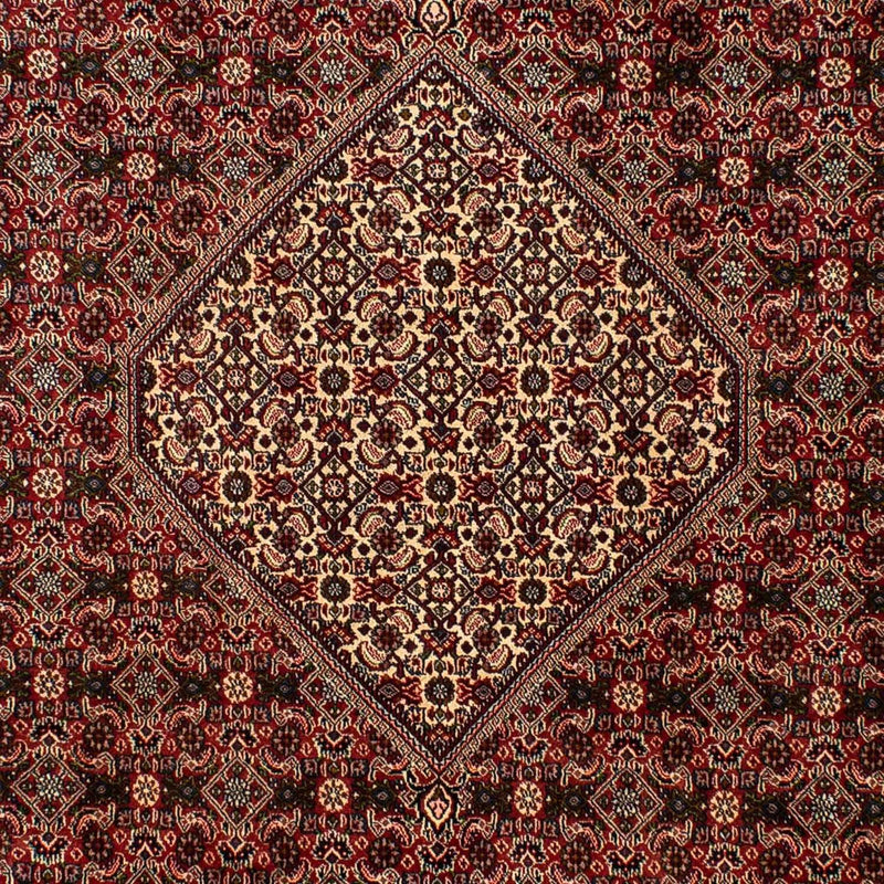 ビジャー 絨毯 309x197cm - ペルシャ絨毯
