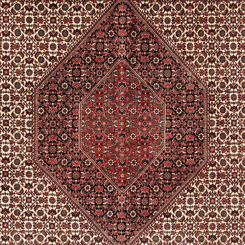ビジャー 絨毯 254x203cm - ペルシャ絨毯
