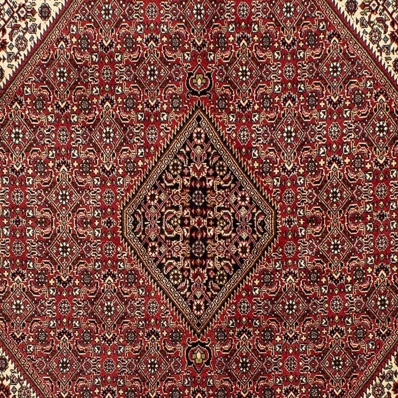 ビジャー 絨毯 242x171cm - ペルシャ絨毯