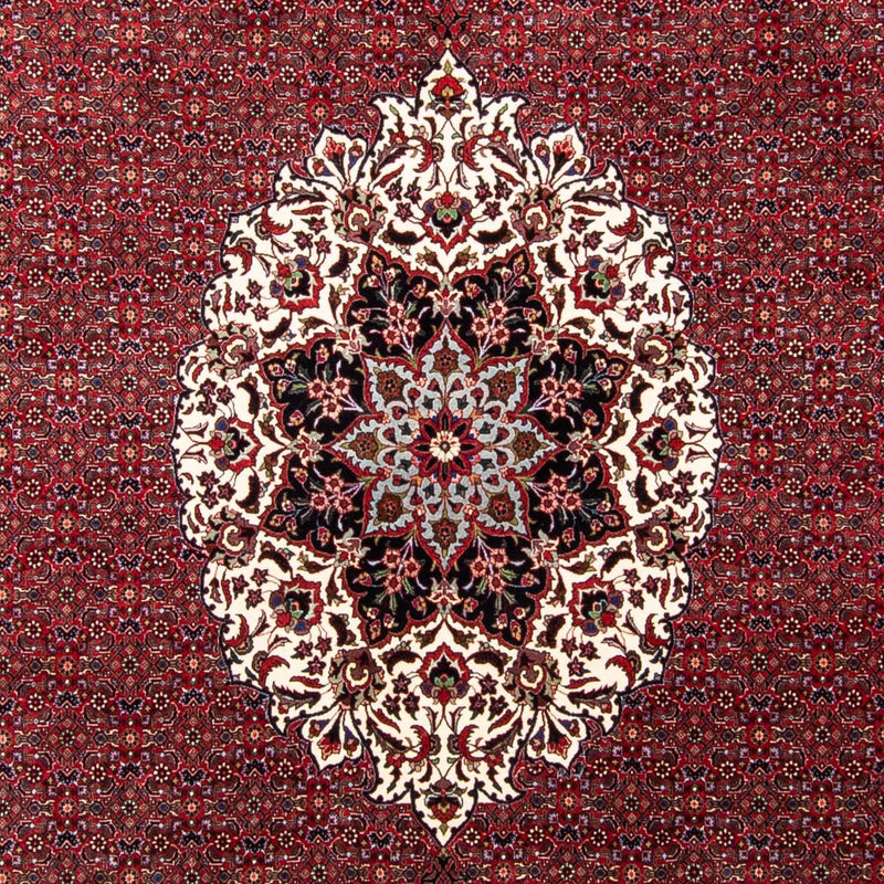ビジャー 絨毯 343x260cm - ペルシャ絨毯