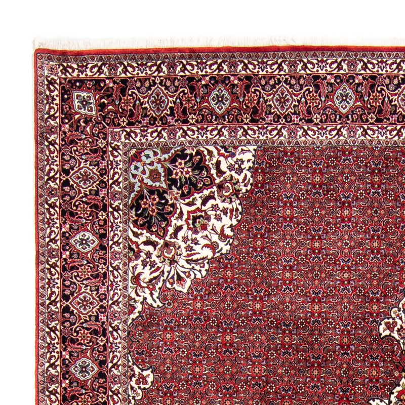 ビジャー 絨毯 343x260cm - ペルシャ絨毯