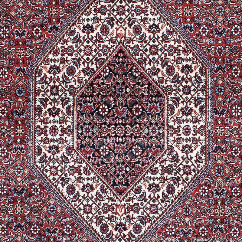 ビジャー 絨毯 209x132cm - ペルシャ絨毯