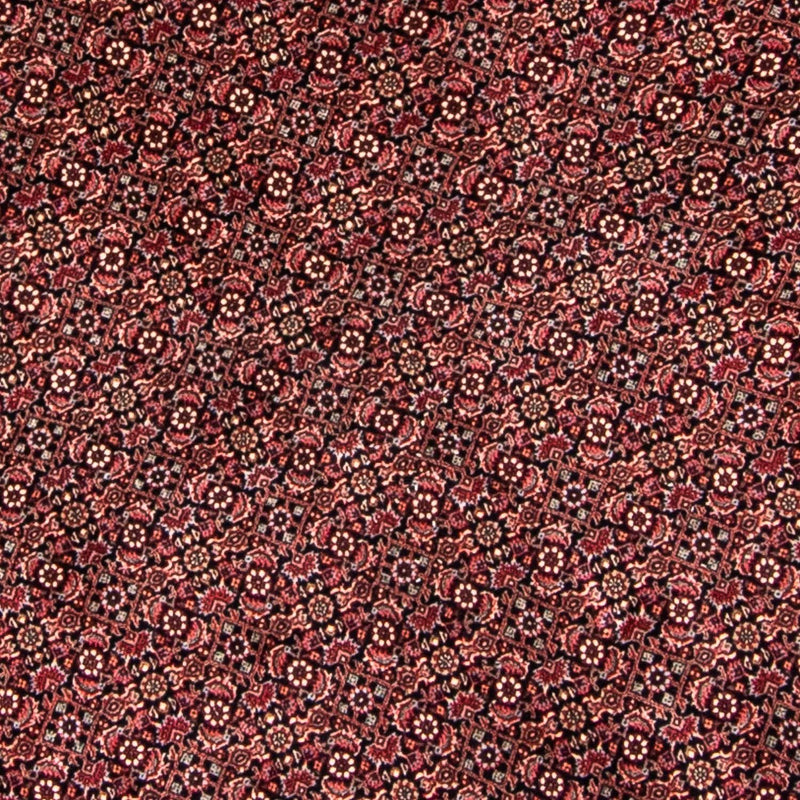 ビジャー 絨毯 250x250cm - ペルシャ絨毯
