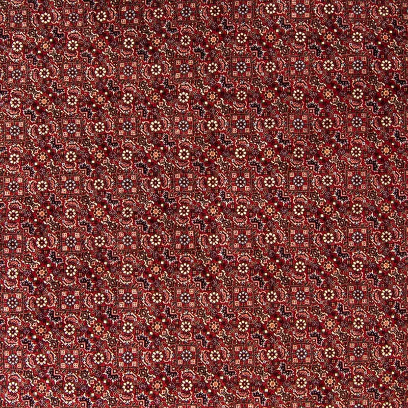 ビジャー 絨毯 250x250cm - ペルシャ絨毯