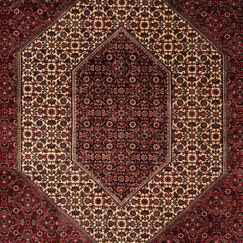 ビジャー 絨毯 238x196cm - ペルシャ絨毯
