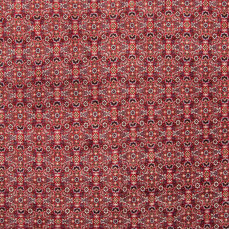 ビジャー 絨毯 347x248cm - ペルシャ絨毯
