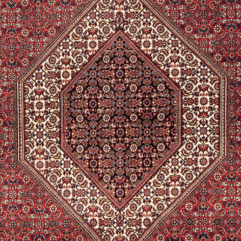 ビジャー 絨毯 254x171cm - ペルシャ絨毯