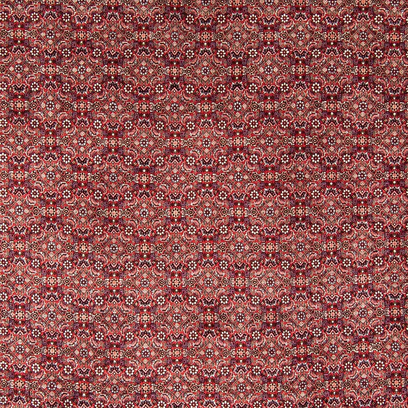 ビジャー 絨毯 350x246cm - ペルシャ絨毯
