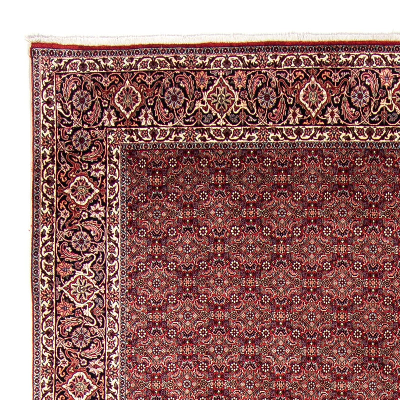 ビジャー 絨毯 350x246cm - ペルシャ絨毯