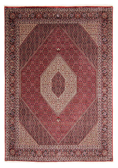 ビジャー 絨毯 252x343cm - ペルシャ絨毯