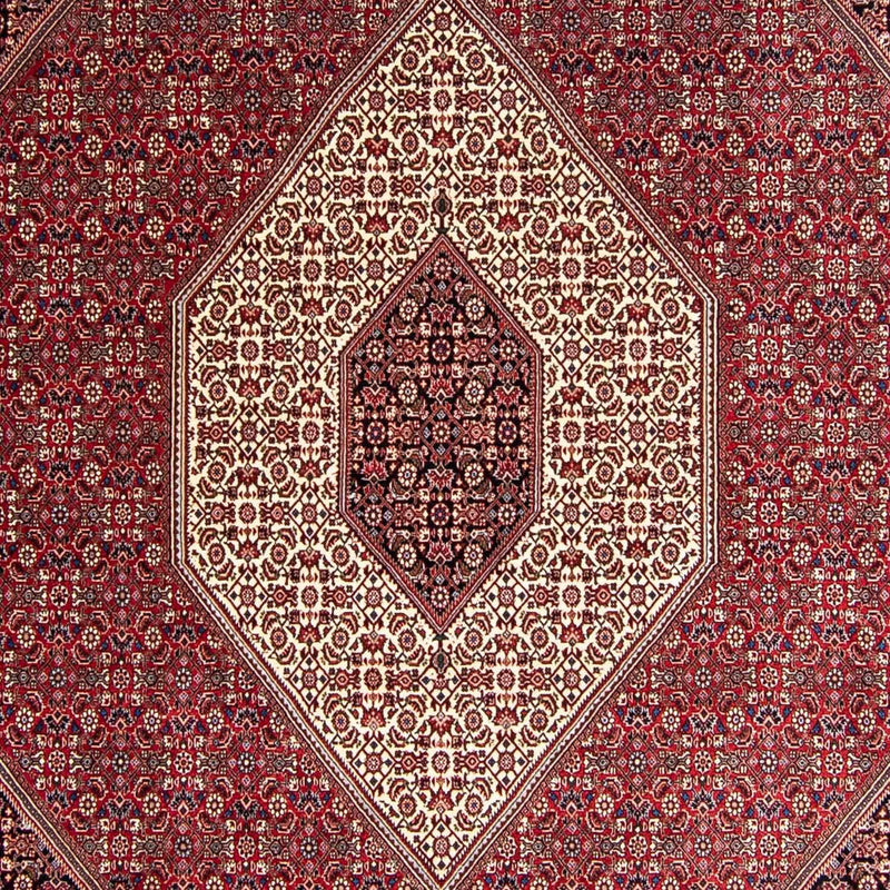 ビジャー 絨毯 343x252cm - ペルシャ絨毯
