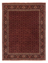 ビジャー 絨毯 256x202cm - ペルシャ絨毯 – product image