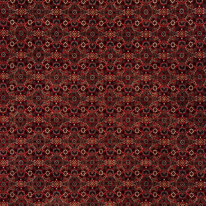 ビジャー 絨毯 256x202cm - ペルシャ絨毯