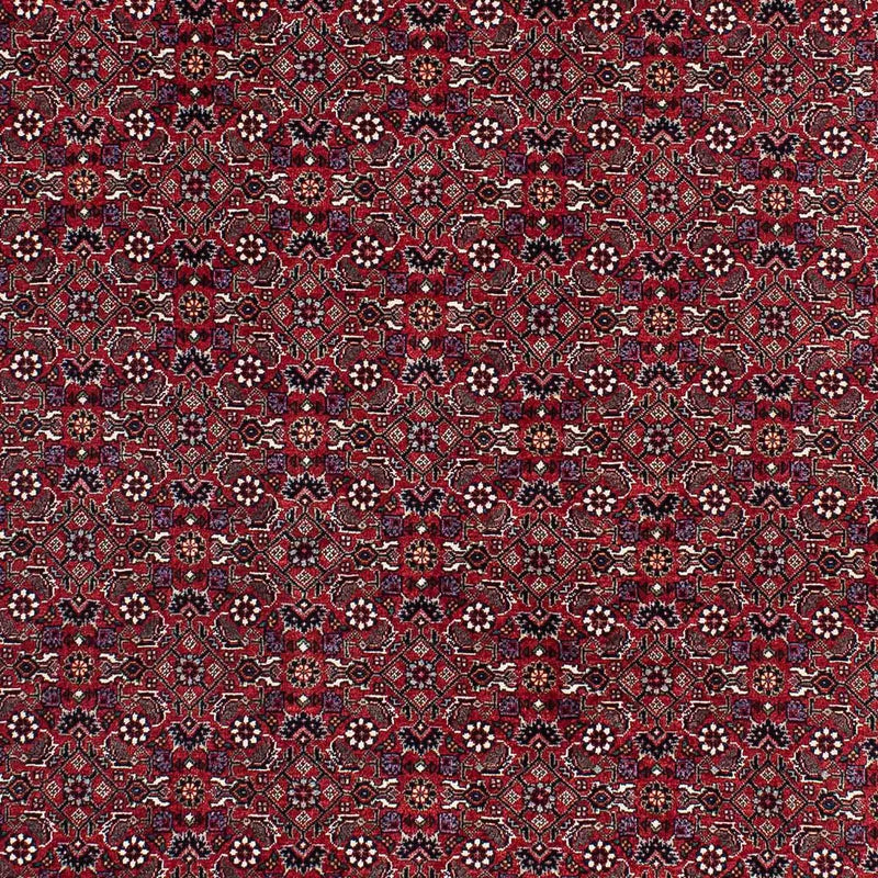 ビジャー 絨毯 221x143cm - ペルシャ絨毯