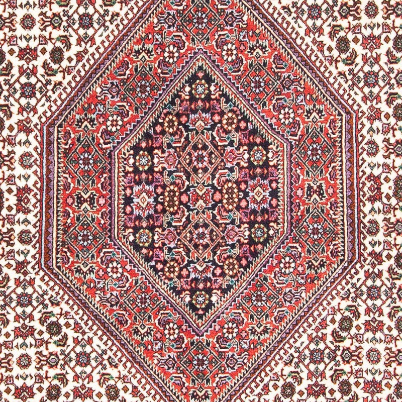 ビジャー 絨毯 173x105cm - ペルシャ絨毯