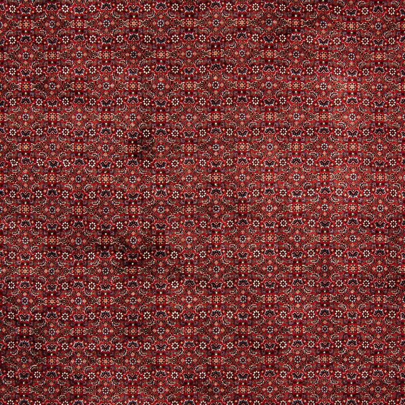 ビジャー 絨毯 392x299cm - ペルシャ絨毯