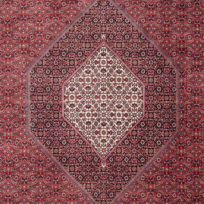 ビジャー 絨毯 302x253cm - ペルシャ絨毯
