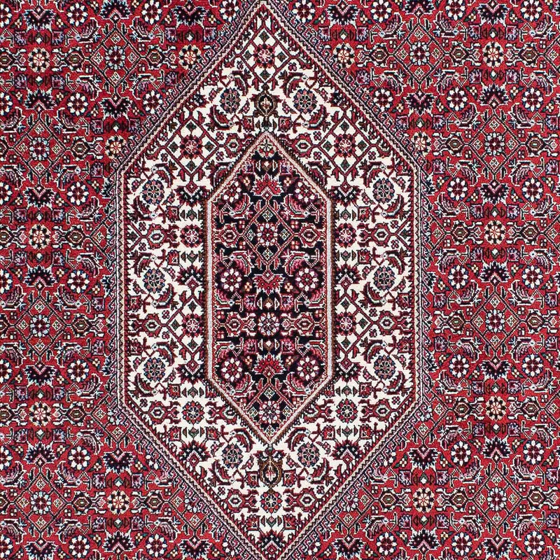 ビジャー 絨毯 210x131cm - ペルシャ絨毯