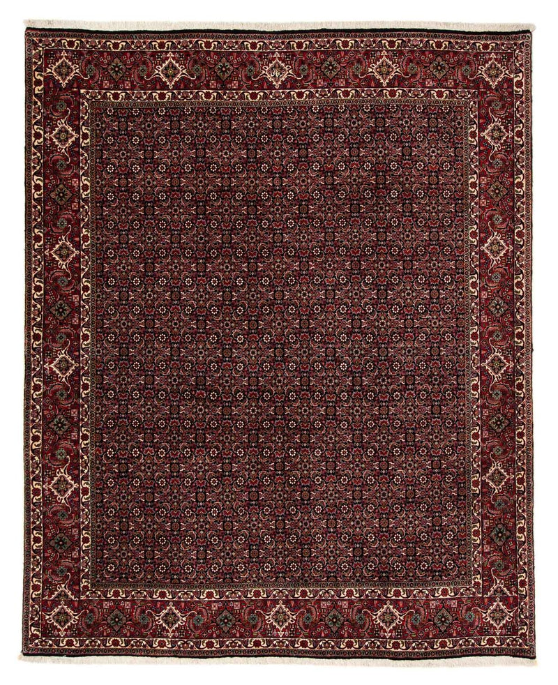 ビジャー 絨毯 248x198cm - ペルシャ絨毯